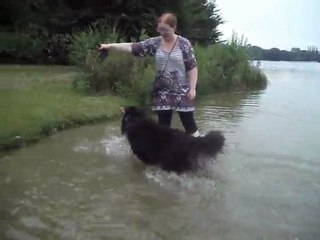 lac de caniel avec les chiens2