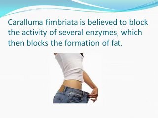 What is Caralluma and why everyone using it?