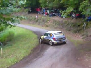 Rallye de France Alsace 2010