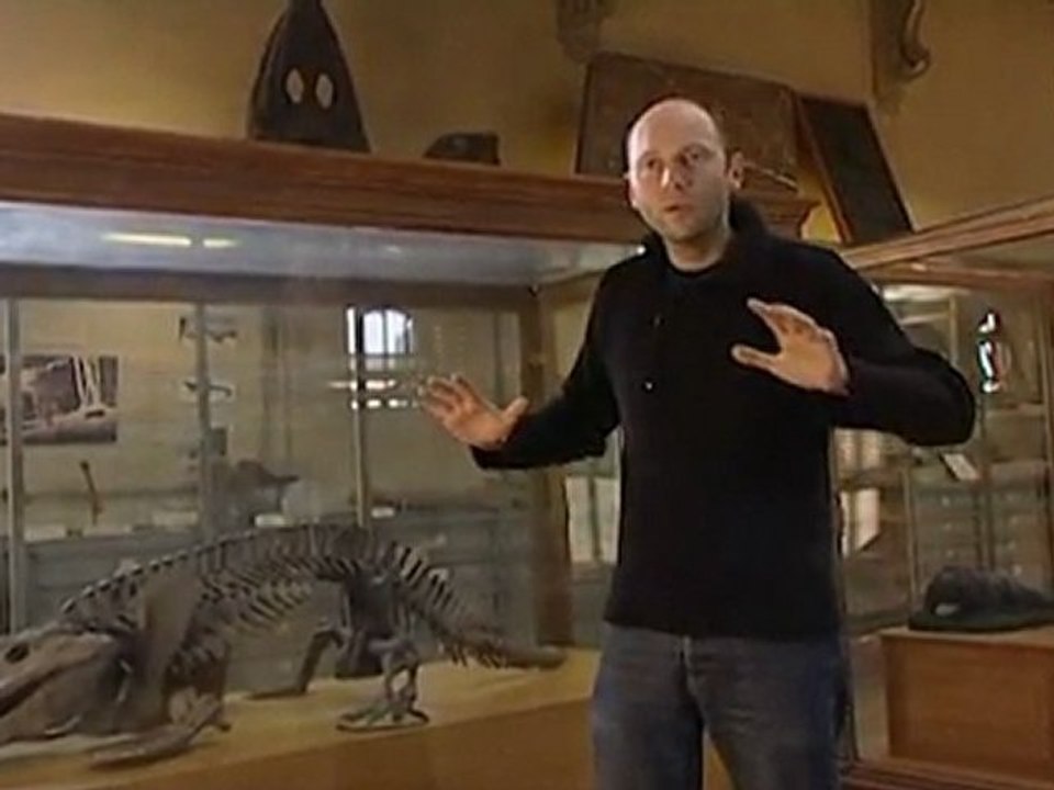 La vie avant les dinosaures (extrait)