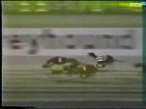 World Classic 1977: Hollywood Florida Greyhound Track