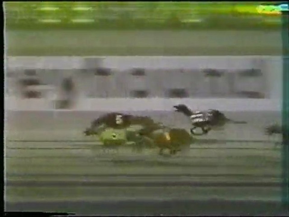 World Classic 1977: Hollywood Florida Greyhound Track