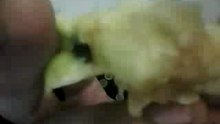 webcam_1309933596741