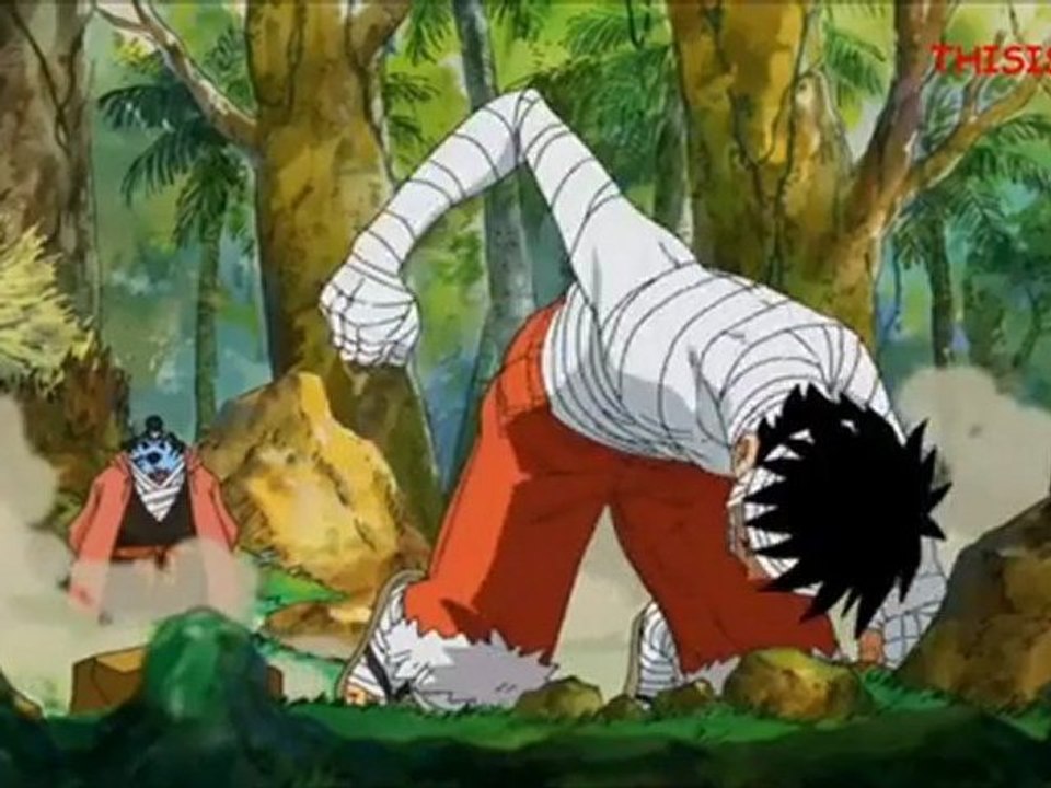 One Piece 505 vosta & vostfr Preview