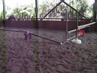 Valse des Londes - 1ère séance obstacle