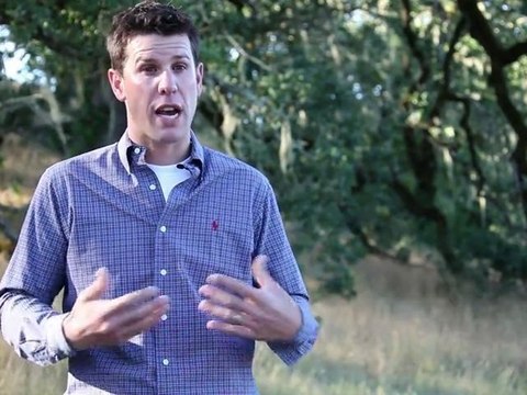 Grafting: changing varietals with low-impact farming