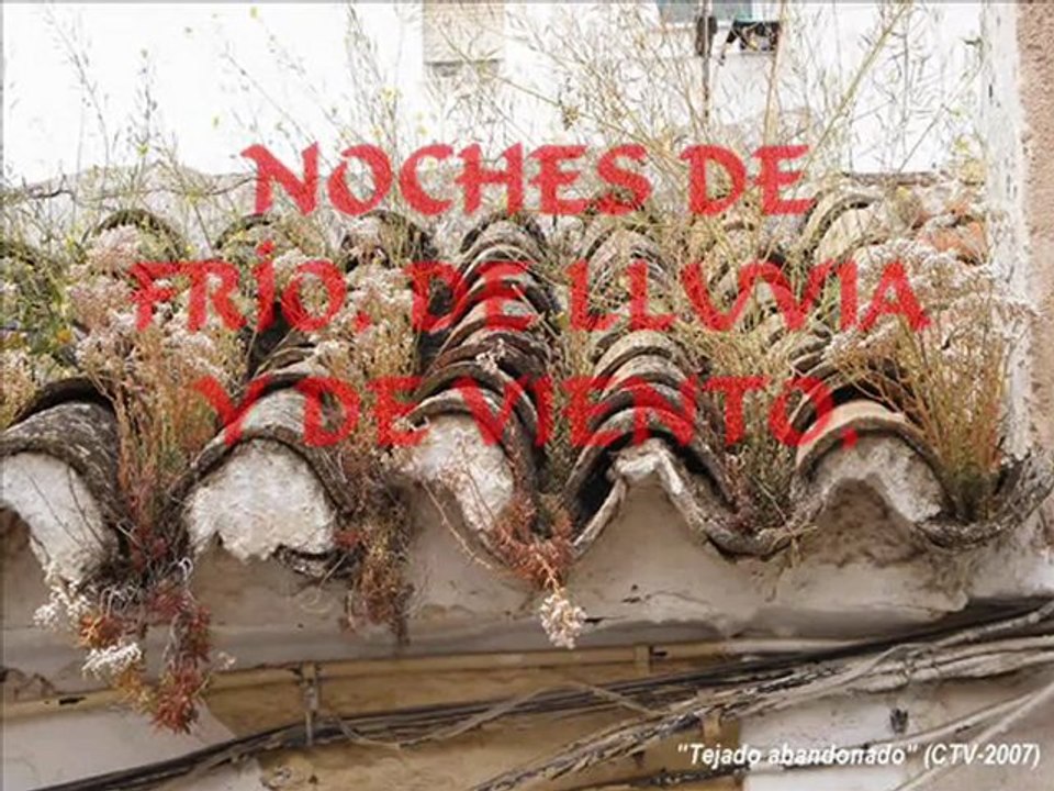 LA CASA DEL SILENCIO