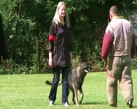 EDENE DE LA CITE DES LOUPS GRIS - NT 2011 MOTHERN