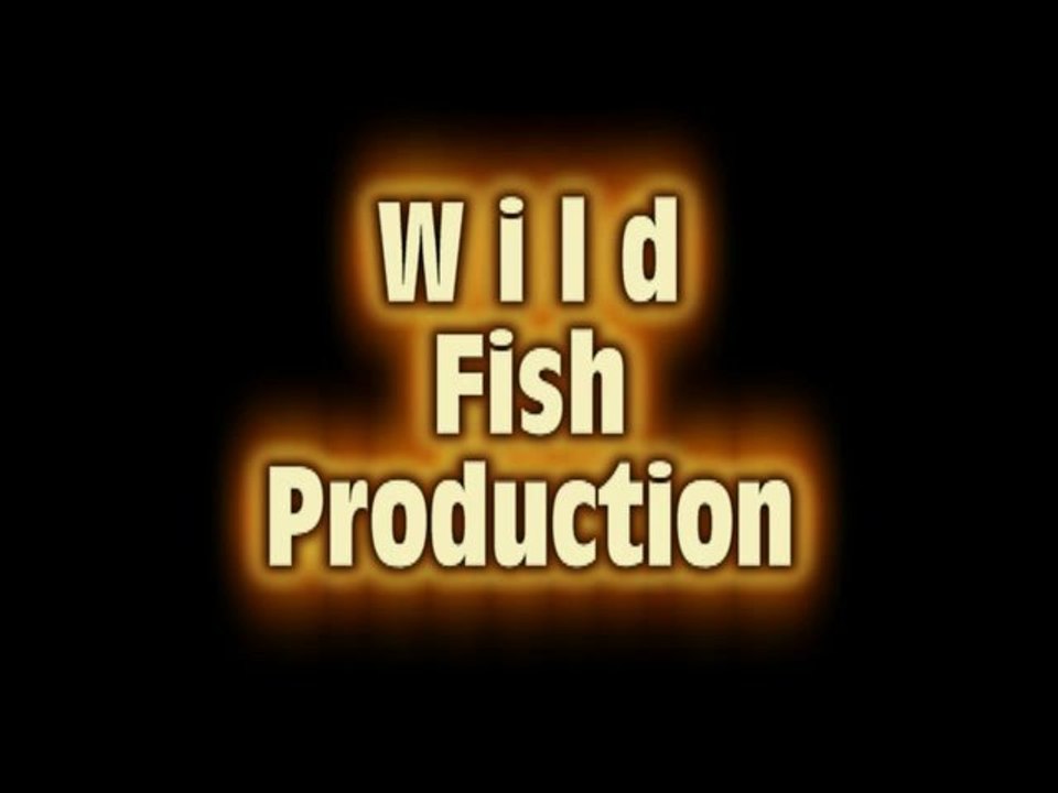 eté 2011 carpe  nono on the road