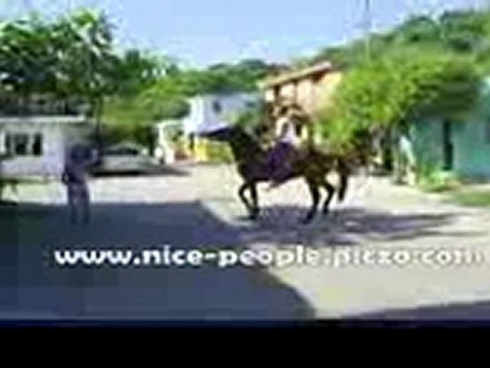 Domando un Caballo