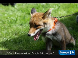 Les parents de Zouzou indignés