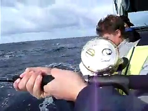 Jigging Fishing Charters in Sydney Video 2- by Sealord Fishing Charters Stdney