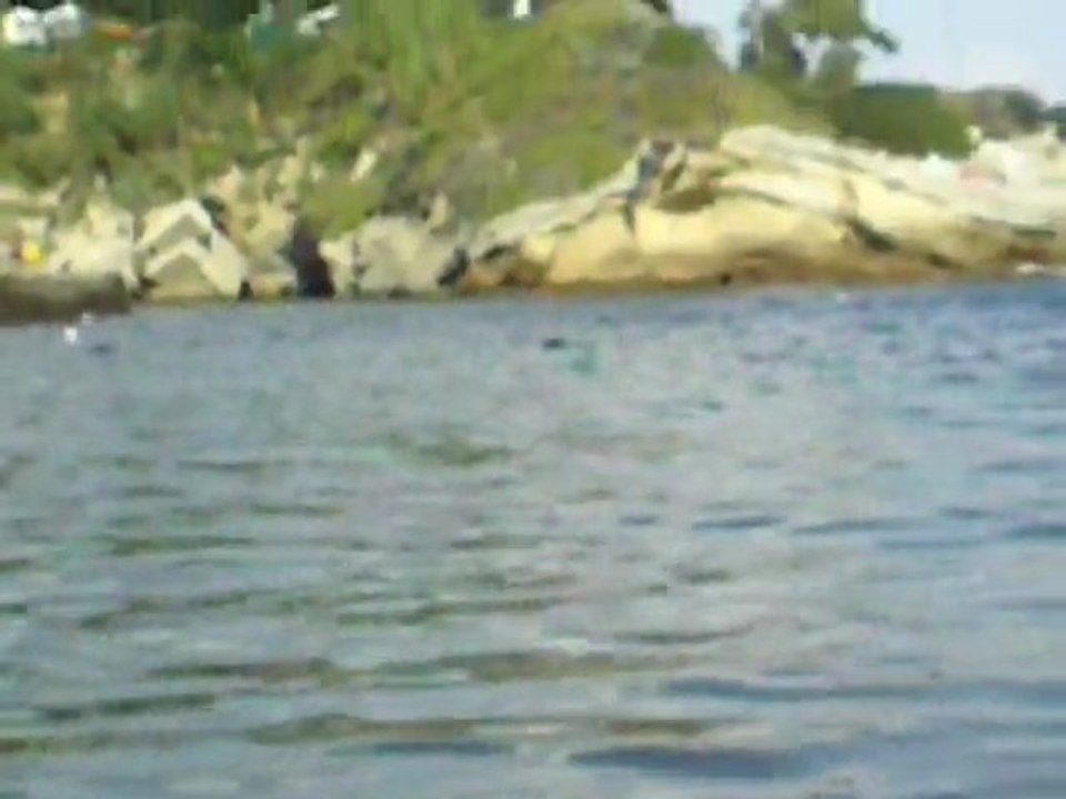 La Gaiola