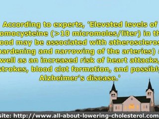 High Homocysteine Levels: Essential Facts To Ponder On