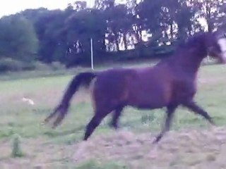 Princesse en liberté