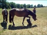 Premières séances en cordelette avec Roxane