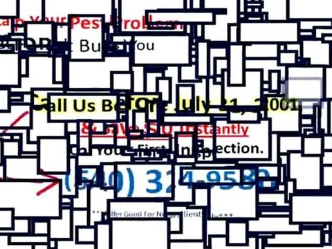 Tree Company Charlottesville VA|How To Control Mosquitoes