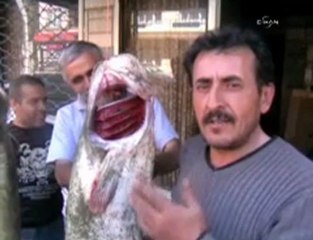 1.60 metrelik dev yayın balığı şaşırttı - medyarazzi.com