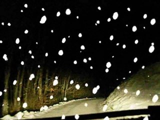 Festival TGV GéNéRiQ 2011