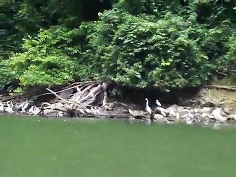 Cañón del Sumidero Tuxtla Gutiérrez Chiapas Mexico 3