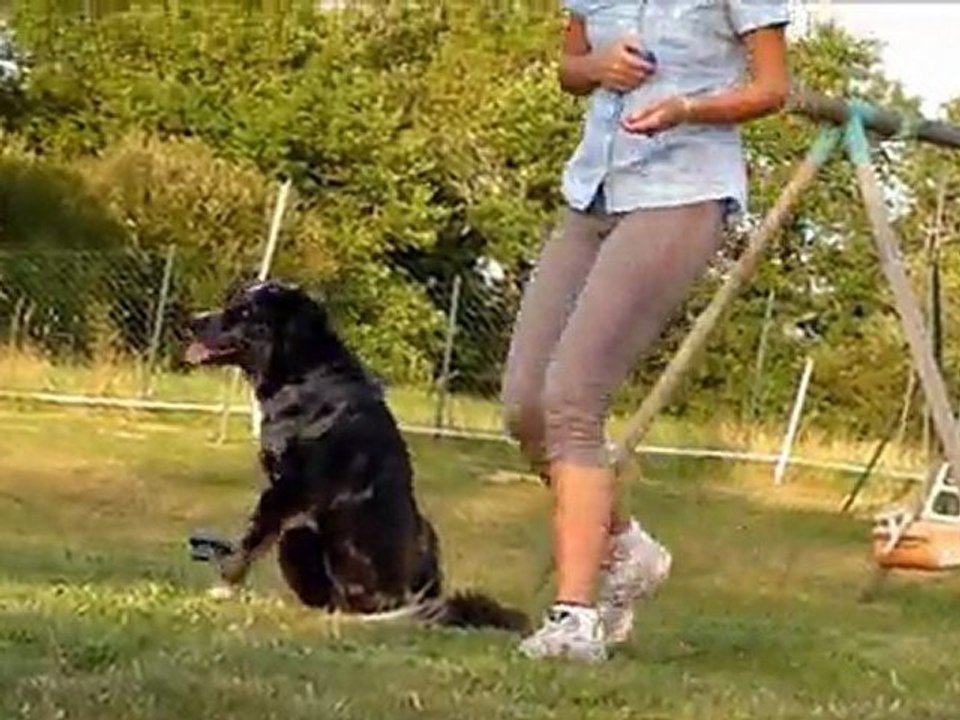 position au pied et marche au pied sans laisse Enee