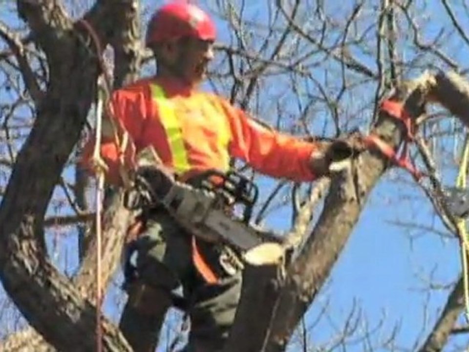 Projektowanie Ogrodu Lódz Kubacki M., Zbronski K. ...