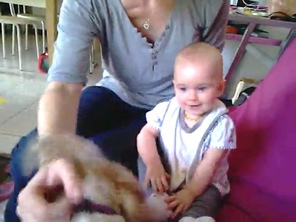 VIDEO0543