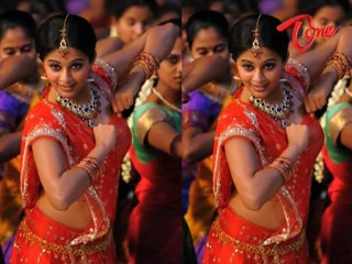 Tollywood - Black Beauty - Priyamani's - Hot Collection