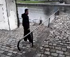 pti truc vite fai