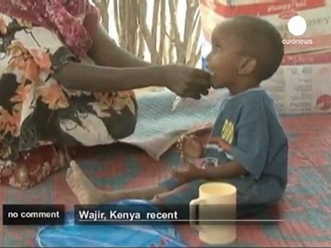 Horn of Africa region faces famine risk - no comment