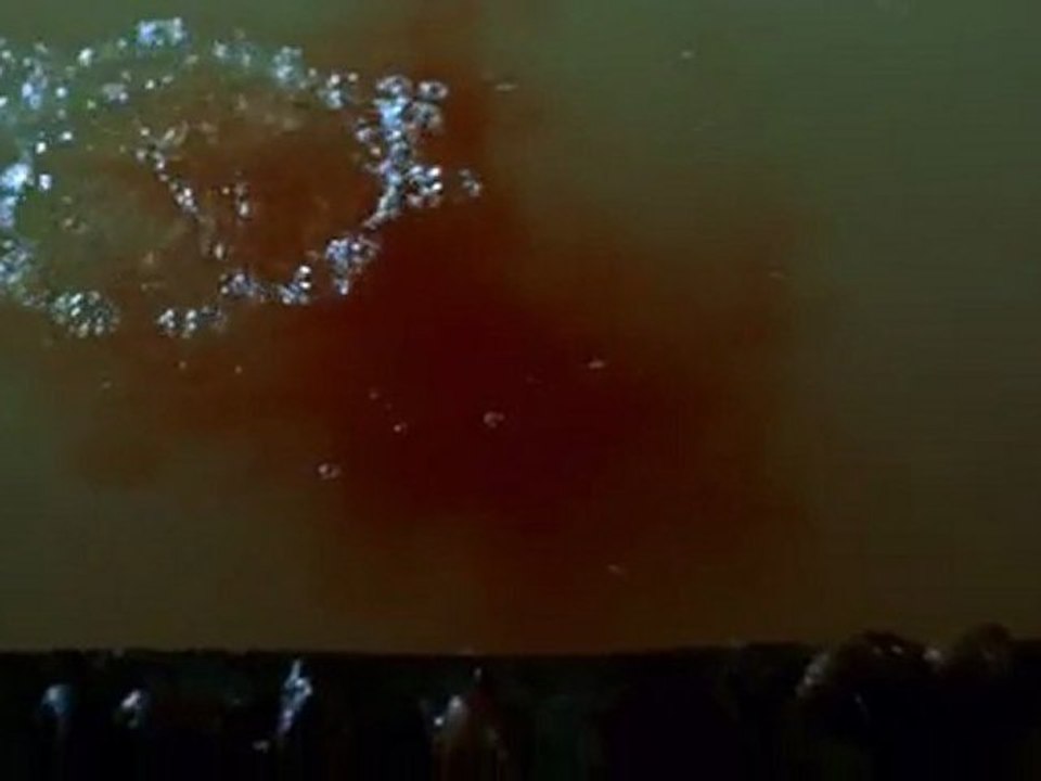 L'Echine du d... [2/2]