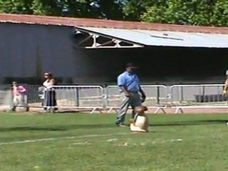 Grand prix SCC 2011  à Tavaux boxer ring 1