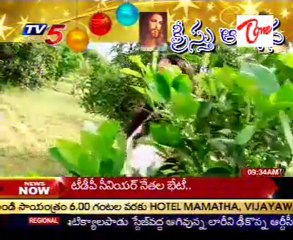 Special Program On Christmas -  01