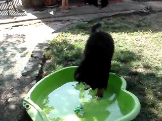 Galaan à la piscine - 6 juillet 2011