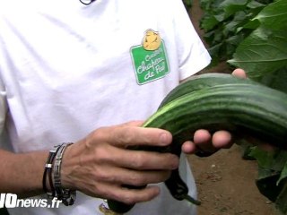 La cueillette de Cergy : fruits et légumes à portée de main