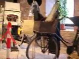 Icaro Tv. Mostra bici degli antichi mestieri a Rimini