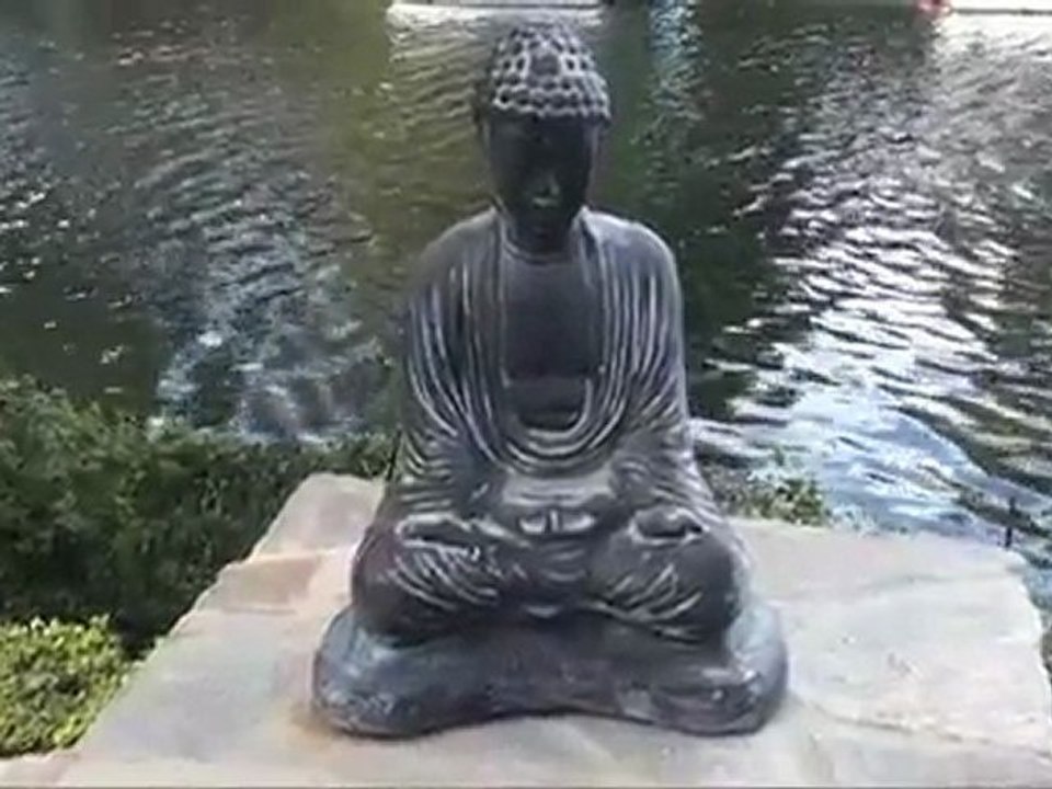 Meta Sutra