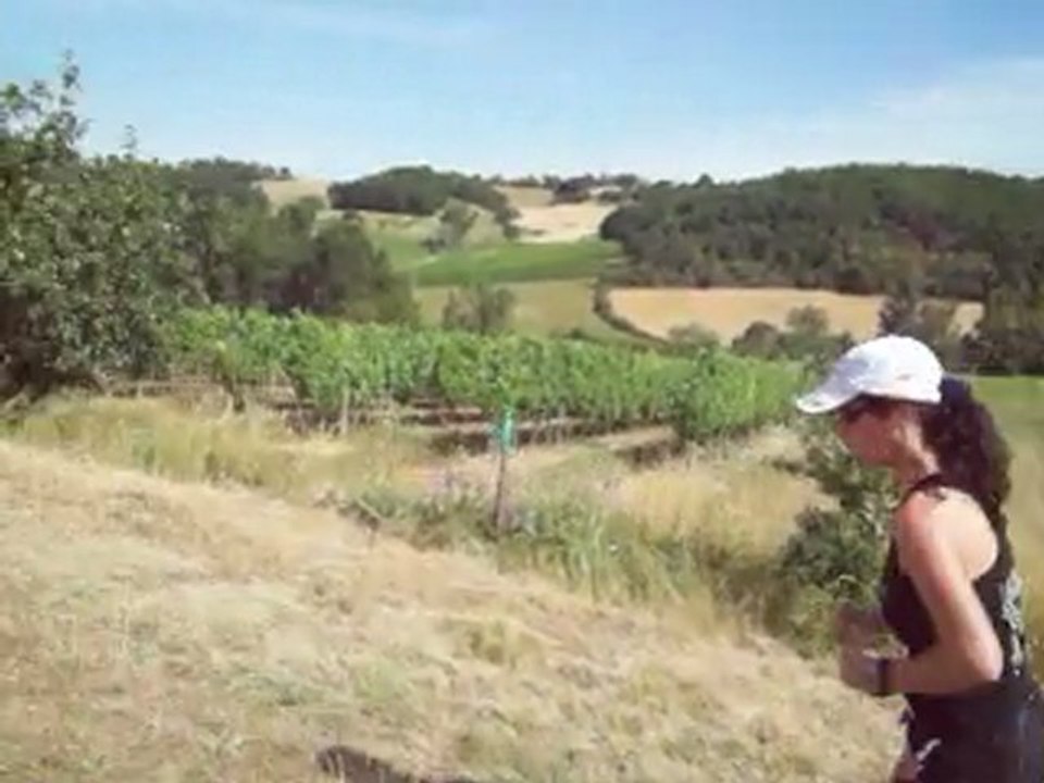 trail des vignes & des coteaux lislois 2011