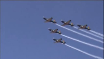 Sudafrica - I silver falcons di Johannesburg