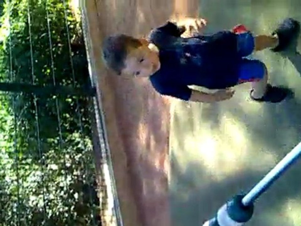 toboggan Giens