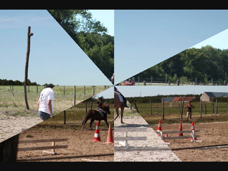 jeux à poneys sans étriers