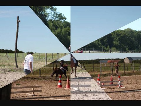 jeux à poneys sans étriers