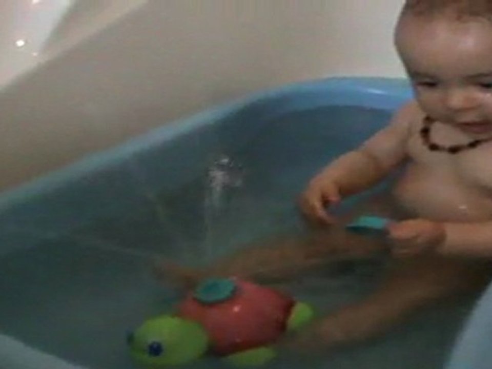 Ma tortue de bain