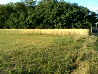 Video Ripresa con HTC Touch PRO 2