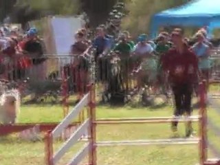 SARAH 2 EME MANCHE GPF