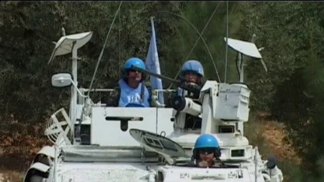 Israele - Abbattuti gli alberi della discordia