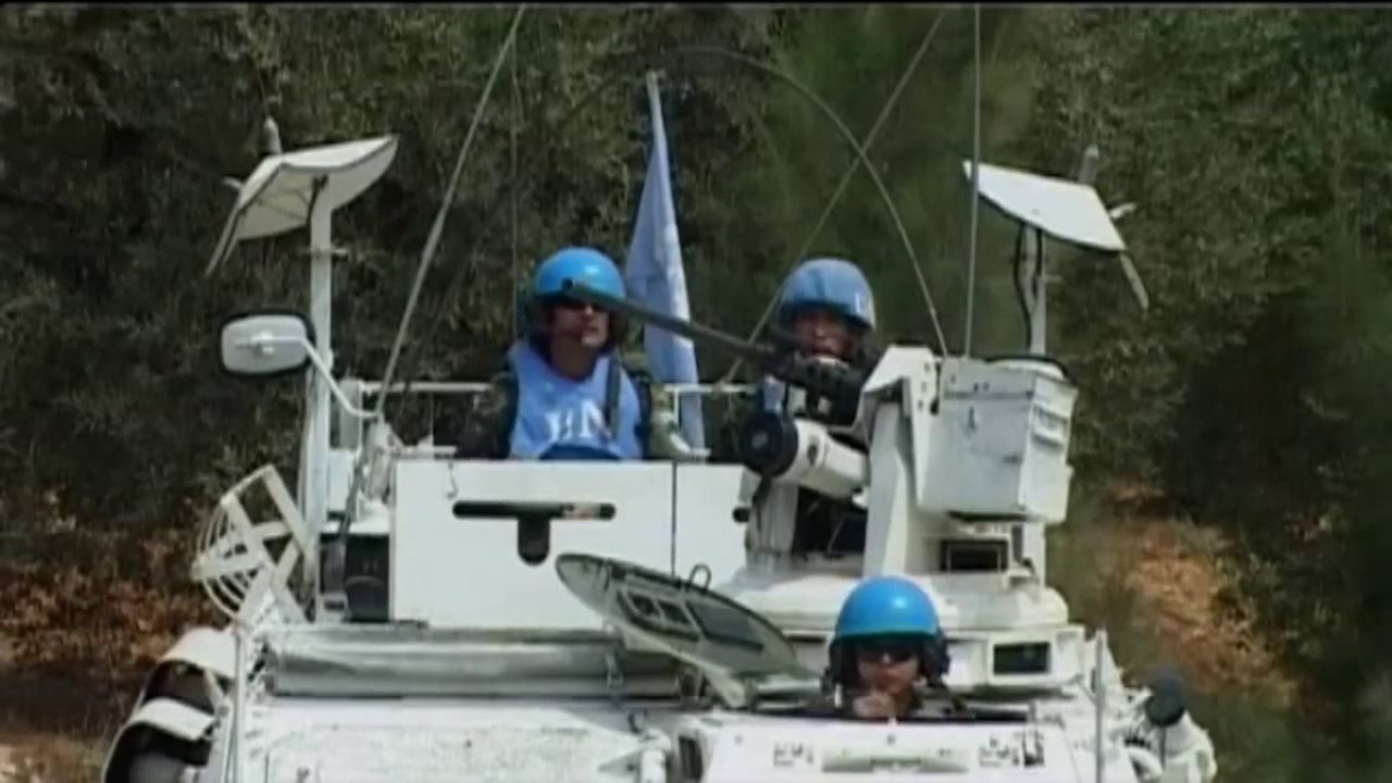 Israele - Abbattuti gli alberi della discordia