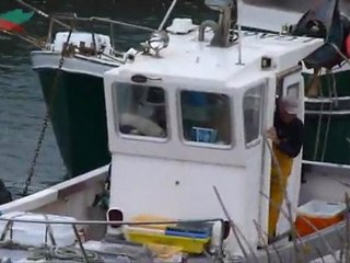 Nicolas Le Rallic "Entre myosotis et pavots"