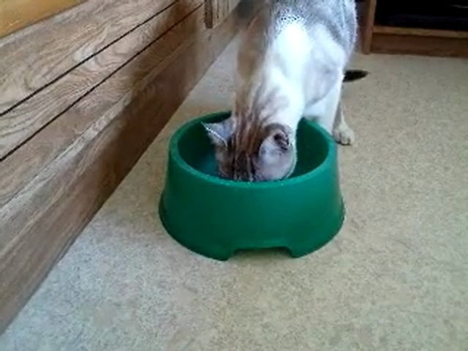 Norman a la pêche