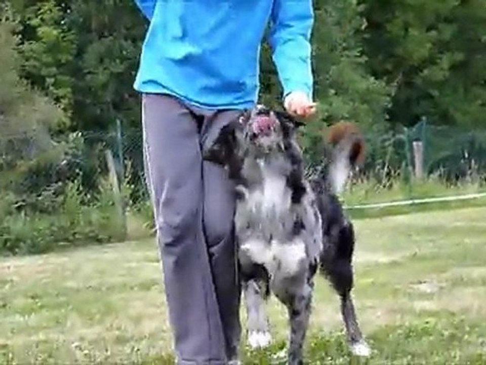 Marche au pied Enee avec mains au dos